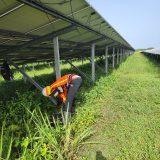 solar-panel-cleaning3