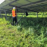 solar-panel-cleaning2